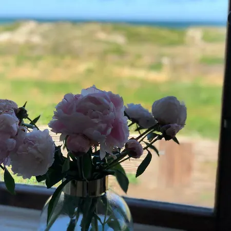 Lille Strandhotel Bed and breakfast Hornbæk